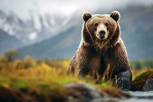 Grizzly bear mother and cubs. HD Quality Razor sharp images. Ai Generative photo