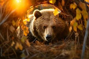 Grizzly bear mother and cubs. HD Quality Razor sharp images. Ai Generative photo