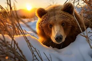 Grizzly bear mother and cubs. HD Quality Razor sharp images. Ai Generative photo