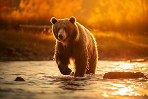 Grizzly bear mother and cubs. HD Quality Razor sharp images. Ai Generative photo