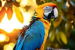 Vibrant Macaw Photography. Stunning Images by Wildlife Experts. AI Generative photo