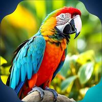 Vibrant Macaw Photography. Stunning Images by Wildlife Experts. AI Generative photo