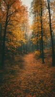 Autumn's Golden Canopy Vibrant Foliage in the Forest. Ai generated content photo