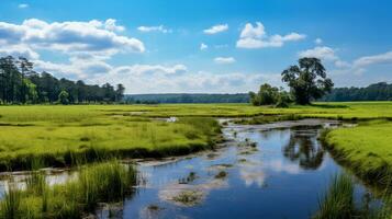 Preserving Vital Ecosystems Celebrating World Wetlands Day photo