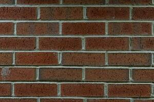 Texture background of bricks with lines photo