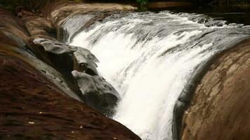 bellissimo cascata nel verde foresta nel giungla, cascata struttura, bellissimo cascata, panoramico Visualizza di cascata, il nebbioso gocce d'acqua crescente a partire dal un' potente rapido acqua ruscello a cascata al di sopra di il scogliera video