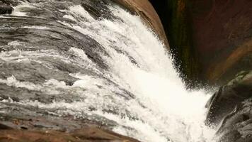 bellissimo cascata nel verde foresta nel giungla, cascata struttura, bellissimo cascata, panoramico Visualizza di cascata, il nebbioso gocce d'acqua crescente a partire dal un' potente rapido acqua ruscello a cascata al di sopra di il scogliera video