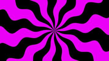 Pink Black Wavy Radial Lines Spinning Background video