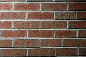 Texture background of bricks with lines photo