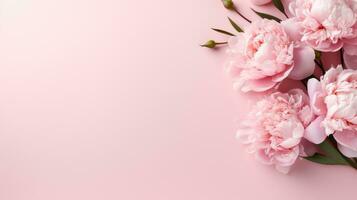 peony flowers with copy space photo