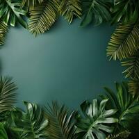 tropical leaves with copy space photo