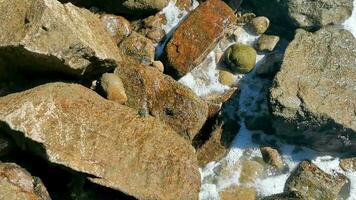 svart krabba krabbor på klippor stenar stenar puerto escondido Mexiko. video