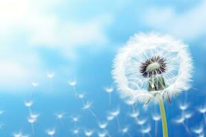 Dandelion flower on blue sky background with space for your text, close up of dandelion on the blue background, AI Generated photo