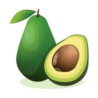 Avocado whole and half cut. Vector illustration isolated on white background