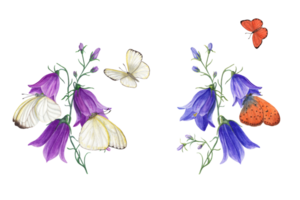 Watercolor bouquets of campanula, butterflies. Floral illustration for postcard, Save the date, Valentines day, birthday, mothers day cards, wedding invitation png