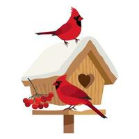 Winter birdhouse with red birds. Red birds with a tuft on a snow-covered birdhouse. Isolated vector clipart.