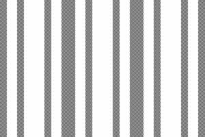 Texture fabric background of vector lines seamless with a textile pattern stripe vertical.