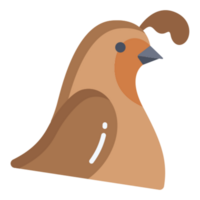 codorniz icono diseño png