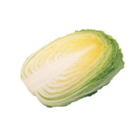 Cabbage no background png