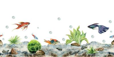 Hand drawn watercolor aquarium fish, algae and sealife. Marine exotic underwater illustration. Seamless border isolated on white background. Design for shops, brochure, print, card, wall art, textile. vector