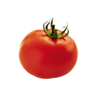 tomat Nej bakgrund png