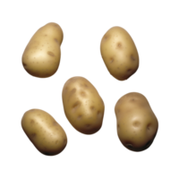 Bunch potatos no background png