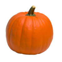 calabaza No antecedentes png