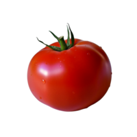 Tomato no background png