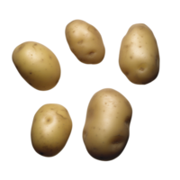 bundel aardappelen Nee achtergrond png