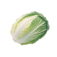 Cabbage no background png