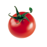 tomate No antecedentes png
