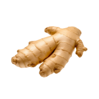 Root no background png