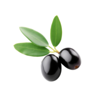 noir olive non Contexte png