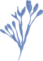 Oceano coral ilustración png