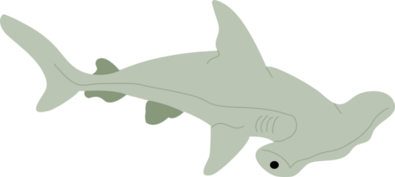 grande tubarão martelo png