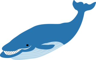 un azul ballena png