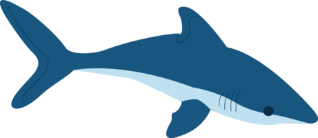 uma azul Tubarão png