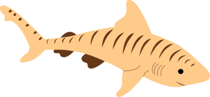 a tiger shark png