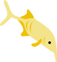 elefant näsa fisk png