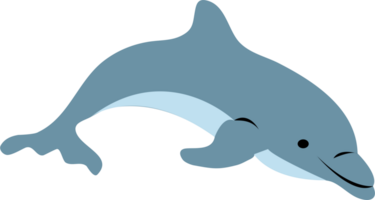 a cute dolphin png