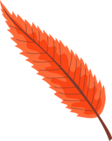 feuille d'érable d'automne png