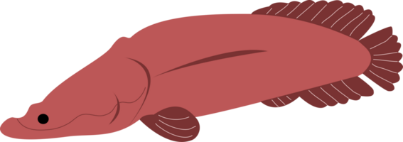 een arowana vis png