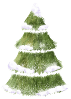 Christmas Tree Illustration png