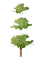 illustrazione dell'albero di natale png