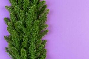 Top view of colorful festive background made of fir tree branch. Christmas holiday concept with copy space photo