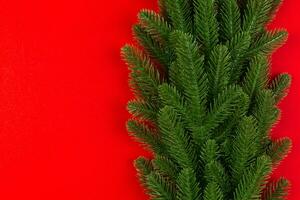 Top view of colorful background made of green fir tree branches. New year holiday concept with copy space photo