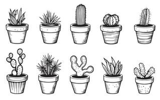 conjunto de cactus en ollas bosquejo mano dibujado vector ilustración