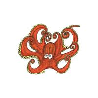 Octopus Vector Illustration Design