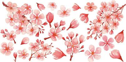 conjunto de 20 elementos. eps. Cereza flores adecuado para creando postales, ilustraciones, patrones. vector