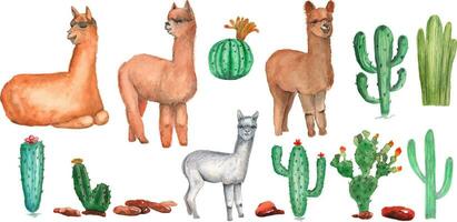 15 alpaca elements. You can create cards and patterns yourself vector